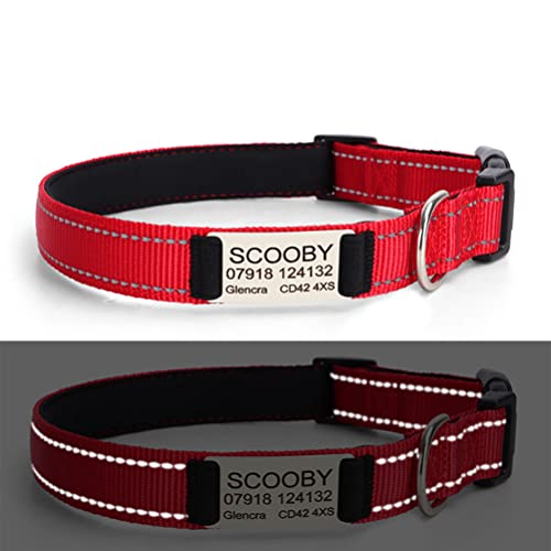 Custom Nylon Reflective Dog Collar with Name Plate, Personalized Laser Engraved Nameplate Id Number Tag Tel, Cat Collar Adjustable for XS Small Medium Large XL Pet Puppy Kitten