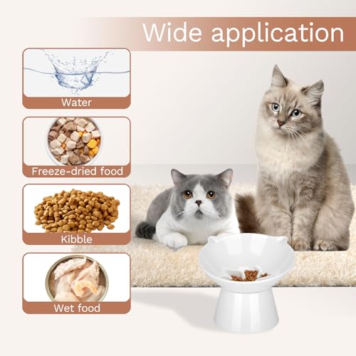 7 Inch Extra Wide Detachable Slow Feeder, Cat Bowl- Elevated Cats Feeder Tilted, Large Raised Cat Food Bowl Whisker Friendly, for Indoor Cats and Small Dogs Anti-Vomiting White - color: White