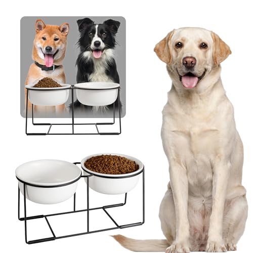 Ceramic Elevated Dog Bowl Set - Raised Double Feeding Bowls with Metal Stand - Pet Dishes for Medium and Large Dogs - 5.8 Cups - 47.3 fl oz - Matte White - color: Matte White, size: XL-800ml