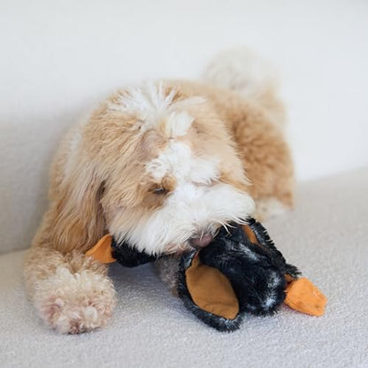 SPOT Skinneeez Mini Mallard Duck 13 Inch Stuffing-Free Plush Squeaky Dog Toy – Soft Interactive Toy for Small and Medium Dogs – Mess-Free Play for Light & Moderate Chewers – Assorted Styles - style: Mini Mallard Duck
