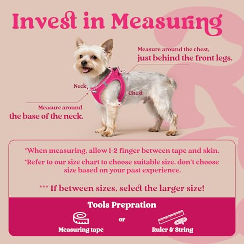 rabbitgoo Small Dog Harness, Step-in Soft Mesh Puppy Vest with Safety Buckle, Breathable Reflective Pet Harness for Small Sized Dogs, Rose Red S - color: Rose Red, size: S(chest:15.1"-16.5")