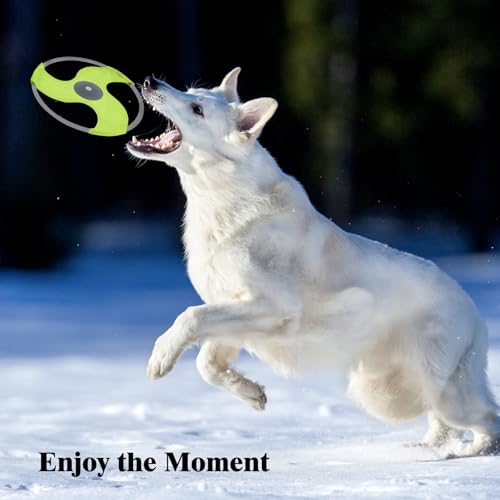LED Dog Flying Disc, Rechargeable LED Light Dog Flying Disc Flyer Pet Toys, Glow in The Dark Pet Toy with 3 Light Models, High Visibility Lighted Pet Training Throwing Playing for Exercise - color: Green-3