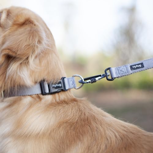 Small Dog Collar Quick-Release| Heavy-Duty Nylon Puppy Collar, Adjustable & Durable Pet Supplies for Boy & Girl Dogs (Small, Sleet Gray) - color: Sleet Gray, size: Small