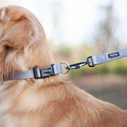 Small Dog Collar Quick-Release| Heavy-Duty Nylon Puppy Collar, Adjustable & Durable Pet Supplies for Boy & Girl Dogs (Small, Sleet Gray) - color: Sleet Gray, size: Small