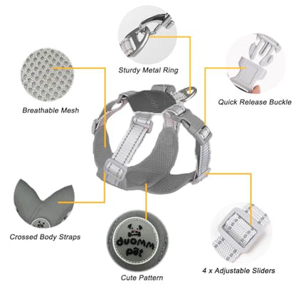 Dog Harness Pet X Frame No Pull Step-in Harnesses with Leash Set, Adjustable Reflective Choke Free Puppy with Padded Vest for Small, Medium Dogs and Cats Walking Training - color: Grey, size: Small