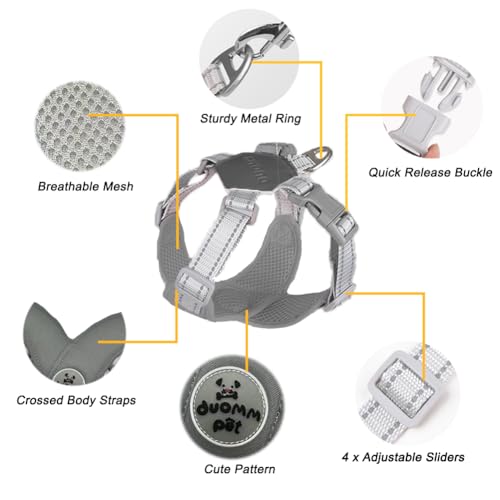 Dog Harness Pet X Frame No Pull Step-in Harnesses with Leash Set, Adjustable Reflective Choke Free Puppy with Padded Vest for Small, Medium Dogs and Cats Walking Training - color: Grey, size: Large
