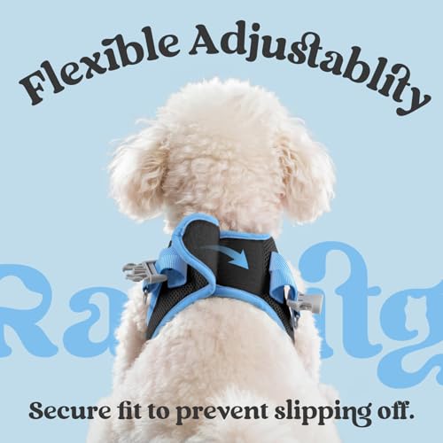 rabbitgoo Dog Harness Small Sized and Leash Set, Step-in Breathable Pet Harness, Soft Walking Reflective Puppy Vest for Small Dogs, Black & Light Blue, XXS - color: Black & Light Blue, size: XXS (Chest: 12.4 - 14.2")