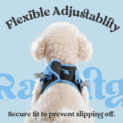 rabbitgoo Dog Harness Small Sized and Leash Set, Step-in Breathable Pet Harness, Soft Walking Reflective Puppy Vest for Small Dogs, Black & Light Blue, XXS - color: Black & Light Blue, size: XXS (Chest: 12.4 - 14.2")
