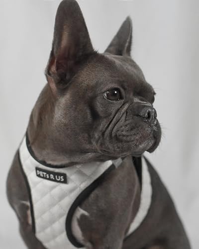 Step in Dog Cat Harness Lightweight Breathable Mesh Soft Padded Pet Vest Reflective Quilted Vegan Leather Choke Free Escape Proof for Small Medium Dogs (White, Medium) - color: White, size: Medium: Neck=10-12.5''/Chest=16-18''