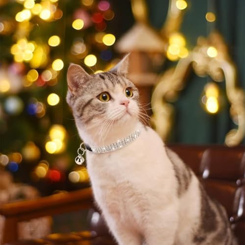 BINGPET 2 Pack Diamond Cat Collar with Bell, Adjustable Soft Velvet Bling Rhinestone Cat Collar, Sparkly Kitten Collar with Metal Buckle and Safety Elastic for Small Medium Cats, Pink & Black - color: Pink & Black(Rhinestones), size: Neck Girth 8"-10"