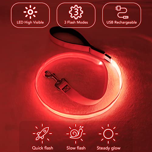 Colaseeme Light Up Dog Leash, LED Pet Leashes USB Rechargeable, Glow Safety Dogs Lights at Night (4FT,Red) - color: Red, size: 4FT