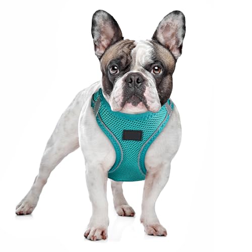 Filbert Dog Harness Large Sized Dog, Step-in Reflective Harness Large Sized Dogs, Mesh Vest, Adjustable, Soft, High Reflectivity, Breathable Fabric, Heavy Duty, Viridian Green - color: Viridian Green, size: XL (Chest: 20.75 - 23")