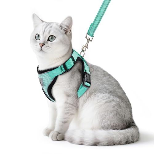 PUPTECK Cat Harness and Leash Set Escape Proof Reflective Cat Walking Harness Adjustable Soft Breathable Mesh Vest for Small Pets, Aquamarine, S - color: Aquamarine, size: S (NECK 9.5"-11", CHEST 13"-16")