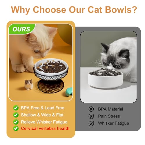 Raised Ceramic Cat Slow Feeder Bowl, Elevated Cat Plate with Stand, Slow Bowl for Wet and Dry Food, Whisker Friendly Pet Feeder for Kitten and Small Dog Perfect for Pet Gift - color: white set of 1