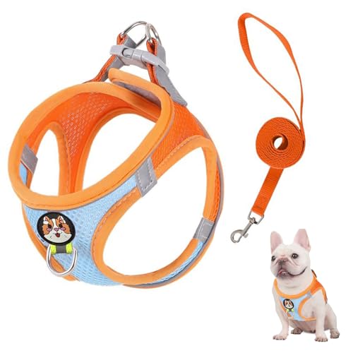 Dog Harness with Orange Reflective Leash – Breathable Vest Design for Safe & Comfortable Night Walks，Small - color: Orange Blue, size: Small