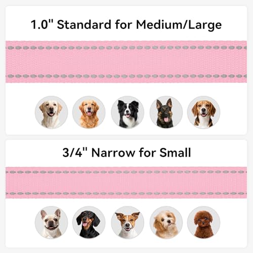 Joytale Dog Leash, 6 FT Double-Sided Reflective, Padded Handle Nylon Heavy Duty Leashes for Small Dogs Walking, Pink - color: Pink, size: 4 ft Narrow
