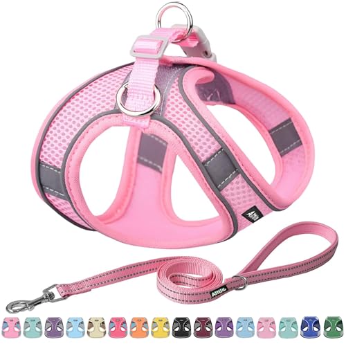 AIITLE Dog Harness, No-Pull Cat Harness with a Leash, Adjustable Reflective Dog Vest, Cat Harness Escape Proof, Outdoor Walking, Running,Training for Extra Small Dogs and House Cats Pure Pink XXXS - color: Pure Pink, size: XXXS(Chest: 8.5 - 10")