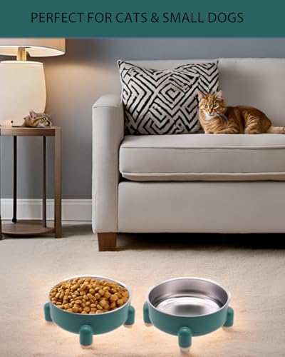 Elevated Cat Bowls 2-Pack for Anti-Vomiting & Whisker Relief - Stainless Steel Raised Food and Water Set, 3 Cups (24 oz) Each, Non-Slip, Dishwasher Safe for Indoor Cats (Green) - size: 2 Pcs