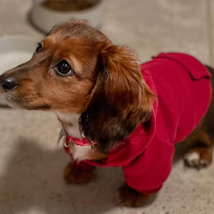 Jecikelon Winter Dog Hoodie Sweatshirts with Pockets Warm Dog Clothes for Small Dogs Chihuahua Coat Clothing Puppy Cat Custume (Wine red, XX-Small) - color: Wine red, size: XX-Small