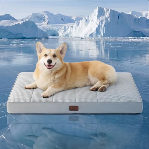 Bedsure Orthopedic Cooling Dog Bed for Crate - 35x22 Inches Large Comfy Breathable Summer Beds with Removable Washable Cover, Cold Flat Egg Crate Foam Pet Mat, Suitable for Pet Up to 50 lbs - color: Cooling Grey, size: 35"L x 22"W x 3"Th