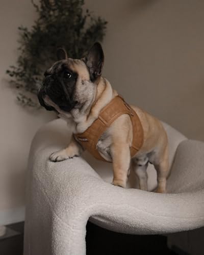 Step in Dog Cat Harness Lightweight Breathable Mesh Soft Padded Pet Vest Vegan Leather Choke Free Escape Proof for Small Medium Dogs (Tan Brown, XL) - color: Tan Brown, size: XL: Neck=14-18'', Chest:21-23''