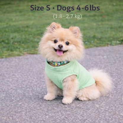 JACKO & CO - Fleece Vest Dog Sweater with Leash Ring - Soft, Warm & Lightweight Pullover Coat for Small & Medium Dogs, Puppies & Cats - Cozy Fall/Winter/Spring Pet Jacket (Mint Green, Small 4-6lbs) - color: Mint Green, size: S (4-6lbs)
