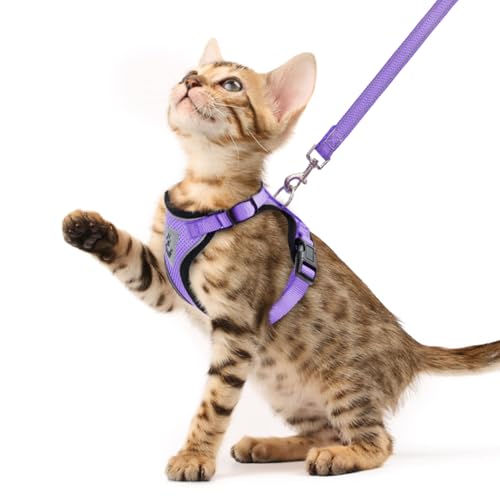 PUPTECK Cat Harness and Leash Set Escape Proof Reflective Cat Walking Harness Adjustable Soft Breathable Mesh Vest for Small Pets, Purple, XS - color: Purple, size: XS (NECK 8.5", CHEST 11"-14")