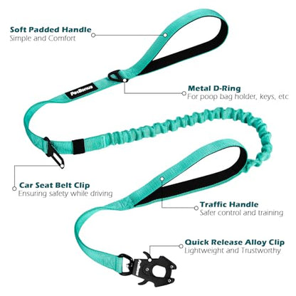 Heavy Duty Tactical Dog Leash, 5 FT Bungee Shock Absorption Leash with 2 Padded Handles, Quick Release Metal Clip, Car Seatbelt, No Pull Training Lead for Large Medium Dogs（Turquoise） - color: Turquoise