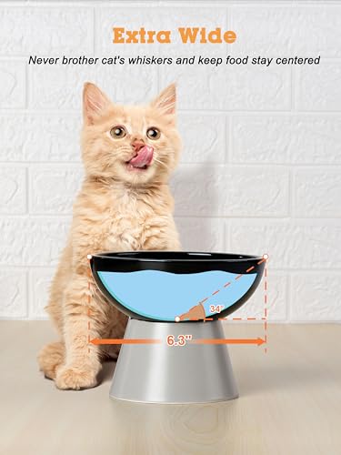 LoeJan Elevated Cat Food and Water Bowls Set, Extra Wide and Raised Ceramic Feeder, Anti-Vomit Whisker-Free Pressure Feeding Bowl for Kittens Adult Small Dogs(Black, 2 Pack) - color: Black, size: 2 Pack (Food & Water Bowls)