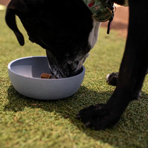 Loving Pets - Dolce Bamboo - Eco-Friendly Pet Bowls & Dishes for Dog, Cats, Puppy Food and Water Bowl -Sustainable and Dishwasher Safe, Made with Real Bamboo (Large, Slate-Grey) - color: Slate Grey, size: Large Bowl
