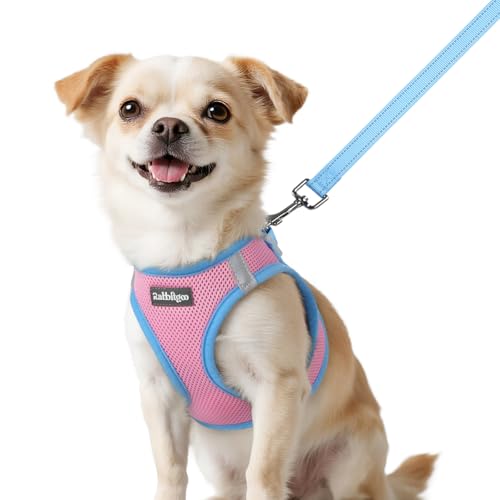 rabbitgoo Dog Harness Small Sized and Leash Set, Step-in Breathable Pet Harness, Soft Walking Reflective Puppy Vest for Small Dogs, Pink & Light Blue, XXS - color: Pink & Light Blue, size: XXS (Chest: 12.4 - 14.2")