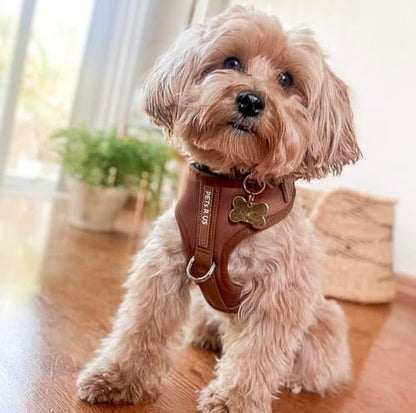 Premium No-Pull Dog Harness Soft Neoprene & Breathable Mesh Vest with Front & Back Clip D-Rings Adjustable Lightweight Walking Harness for Puppies, Small & Medium Dogs (Bronze Brown Gold, XXS) - color: Bronze Brown Gold, size: XXS: Neck=9.1-13'', Chest=10