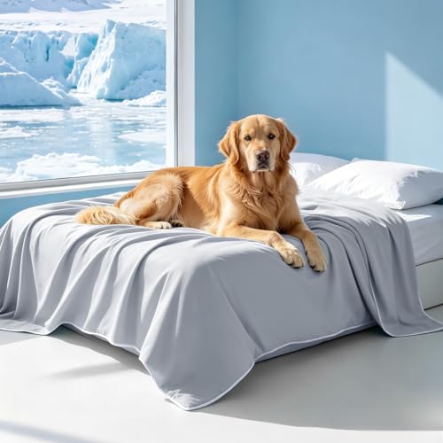 Mora Pets Premium Cooling Blanket for Dogs, Q-MAX>0.5 Washable Breathable Cooling Mat, Lightweight Soft Summer Pet Throw Blanket, Furniture Protector Bed Couch Cover for Large Dog Cat, Gray, 60x80 - color: Gray, size: Twin (60x80")