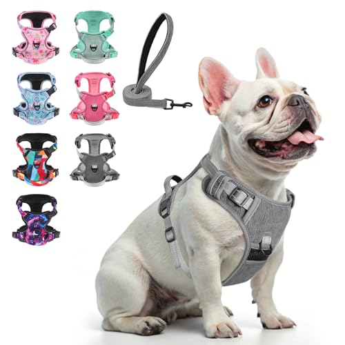 BEAUTYZOO No Pull Dog Harness Large, Adjustable Dog Harness and Leash Set -Easy Wearing with 3 Buckles/Control Handle,No Choke Soft Padded Reflective Pet Vest for Training Walking Hiking,Grey S - color: Solid Grey, size: S: chest 14"-24"