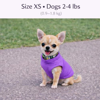 JACKO & CO - Fleece Vest Dog Sweater with Leash Ring - Soft, Warm & Lightweight Pullover Coat for Small & Medium Dogs, Puppies & Cats - Cozy Fall/Winter/Spring Pet Jacket (Purple, X-Small 2-4lbs) - color: Purple, size: XS (2-4lbs)