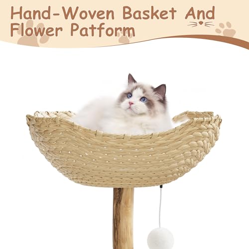 Modern Cat Tree Tower, Natural Solid Wood & Rattan Design with Woven Basket & Condo, Multi-Level Cat Activity Center for Indoor Cats, Aesthetic Pet Furniture - size: Small
