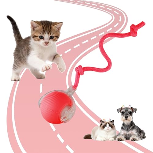 KumCinn Interactive Dog Ball for Small Medium Dogs, Automatic Self Moving Cat Toys Ball for Indoor Cats, 360° Rolling Electric Pet Ball, Fast Smart Motion Activated Toy (Red) - color: Red