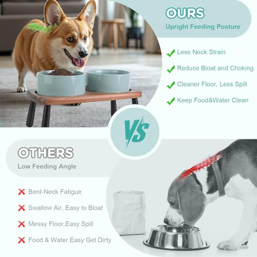 SPUNKYJUNKY Ceramic Elevated Dog Bowls Raised with Acacia Bamboo Wooden Stand, 6.1'' Dog Cat Food Water Bowls Set Non-Slip for Small Medium Sized Breed Microwave Dishwasher Safe - 28.7 OZ,Light Green - color: Light Green, size: 6.1 in - Dual