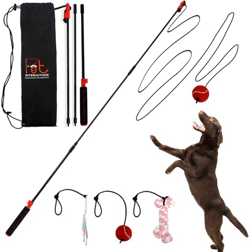 PET Wrangler 2.0 - Upgraded Flirt Pole for Dogs, Interactive Dog Toy with Reinforced 50" Pole &10ft Cord, Creates Extended Play Area, 3 Changeable Lures for Training, Exercise, & Enrichment