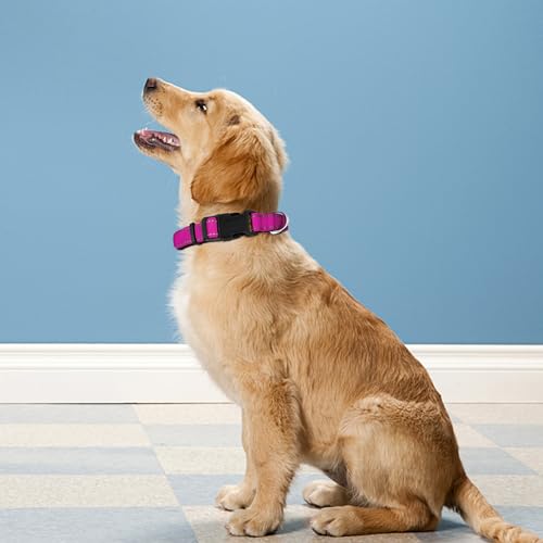 Reflective Dog Collar, Adjustable Soft Neoprene Padded Nylon Pet Collars with Buckle for Puppy and Small Dogs, Cats,Rose Red,XS - color: Rose Red, size: X-Small