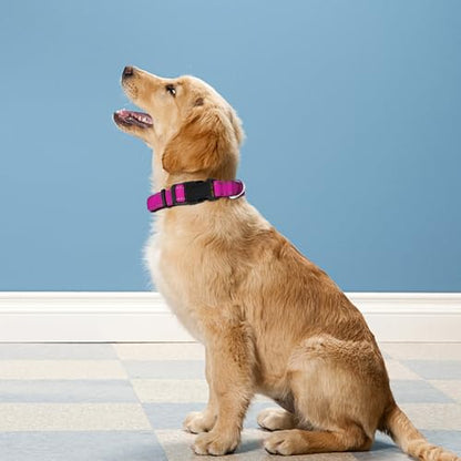 Reflective Dog Collar, Adjustable Soft Neoprene Padded Nylon Pet Collars with Buckle for Puppy and Small Dogs, Cats,Rose Red,XS - color: Rose Red, size: X-Small