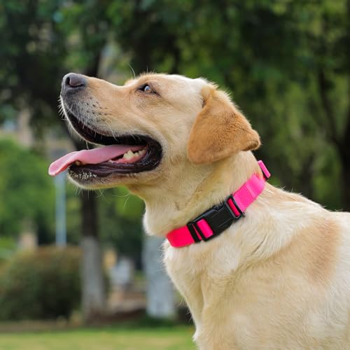 Waterproof Dog Collar, Easy to Clean Rubber Dog Collars with Quick Release Buckle Fits Small Medium or Large Dogs (Pink, M < 11.8-18.5 inch) - color: Pink, size: M (11.8-18.5 inch)