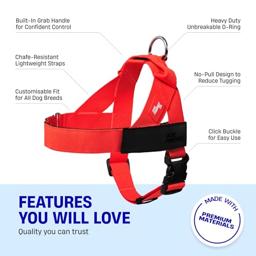 Dog Friendly Co. Dog Harness | Chafe Resistant Webbing, Adjustable Neck & Chest, and Heavy Duty D-Ring | Sturdy, Comfortable, Easy to Use | Red, Size S - color: Red, size: Small