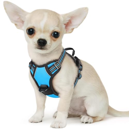Small Dog Harness No Pull, Service Vest with Reflective Strips and Control Handle, Adjustable and Comfortable for Walking, No Choke Pet Harness with 2 Metal Rings, Sky Blue, XS - color: Sky Blue, size: X-Small
