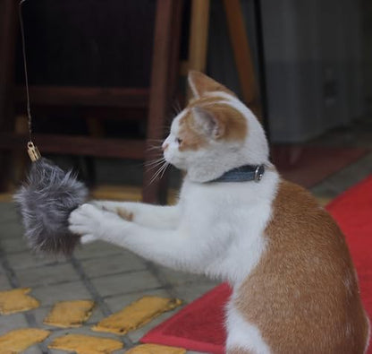 Fosrion Real Raccoon Tail Fur Cat Bites Toy with Three Section Retractable Carbon Fiber Rod (Fox Fur Piece, Tail & Fishing Rod) - color: Fox Fur Piece