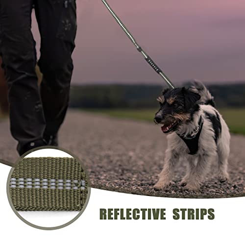 Raipult Tactical Dog Leash Heavy Duty, 4-6FT Shock Absorbing Bungee Leash with Quick Release Clip& 2 Handles, No Pull Waking Lead with Car Seatbelt for Medium Large Dogs that Pull,Green - color: Ranger Green