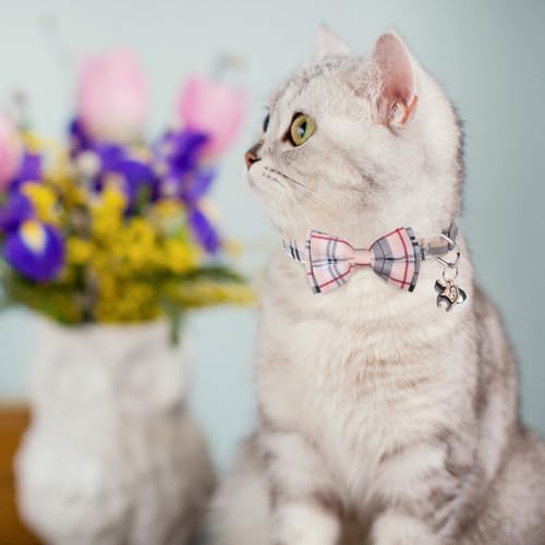SCENEREAL Plaid Cat Collar with Bow Bandana - 2 Pack Breakaway Kitten Collar with Removable Bowtie Bell, Adjustable Cute Cat Collar for Cats Kittens, Beige - color: Bandanas & Bow (Plaid - Beige)