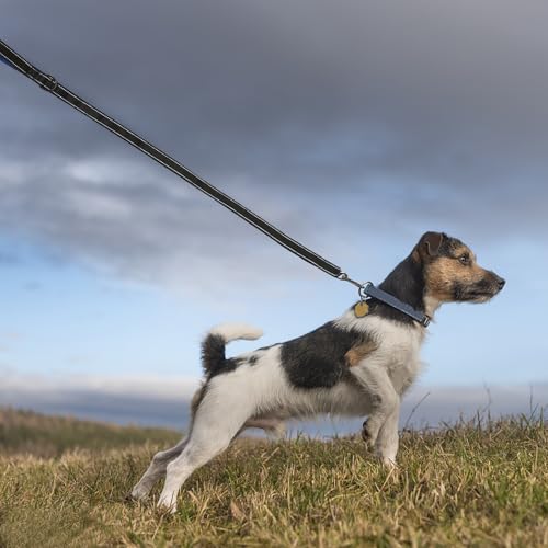 Balacoo Adjustable Double Handle Dog Leash, Traffic Control Pet Lead Rope with Comfortable Non-Chafing Soft Grip, Sturdy Grey and Blue Walking Leash for Puppy Training and Dog Walking