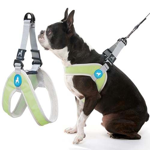 Gooby Simple Step in III Harness - Green, X-Small - Small Dog Harness with Scratch Resistant Outer Vest - Soft Inner Mesh Harness for Small, Medium Dogs - color: Green, size: X-Small chest (12∼14.75")