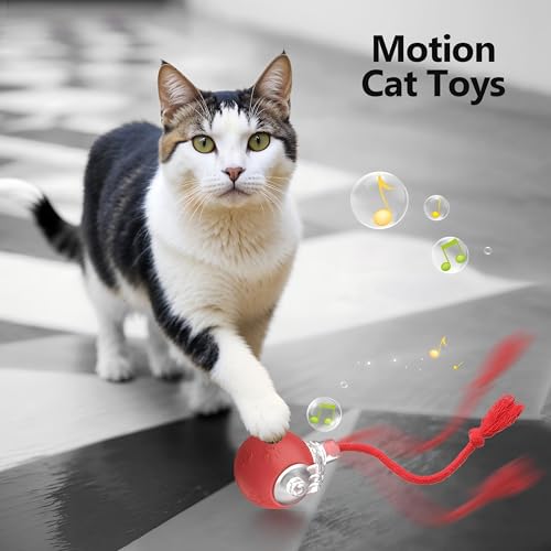 2026 Newly Upgraded Version 3.0 Cat Toys, Cool Intelligent Interactive Cat Ball for Indoor Bored Cats, Automatic Rolling Ball 3.0 Puzzle Toy, Electronic Rolling Pet Chase (Blue-1 pcs) - color: 08 - Blue-1 pcs